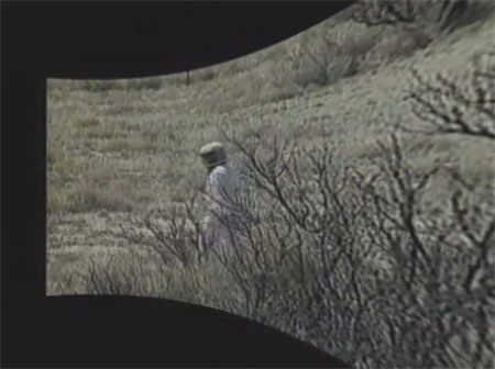 Still from Wax, or the Discovery of Television Among the Bees (1991)